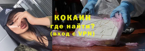 прущие грибы Аркадак