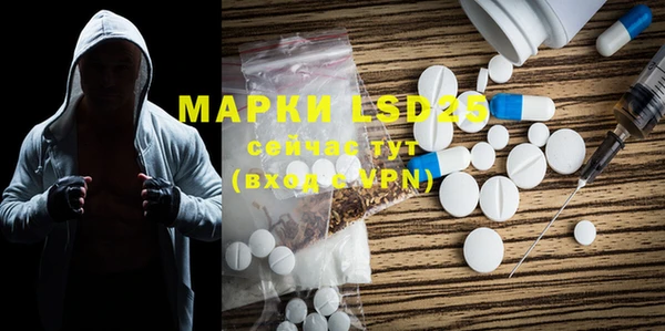 прущие грибы Аркадак