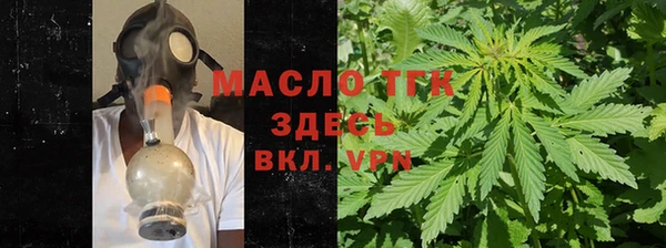 прущие грибы Аркадак
