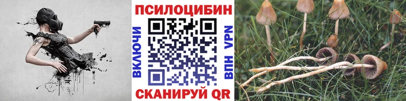 Псилоцибиновые грибы Psilocybe  Купить  Севск 