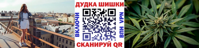 Купить где  Севск  Конопля марихуана 